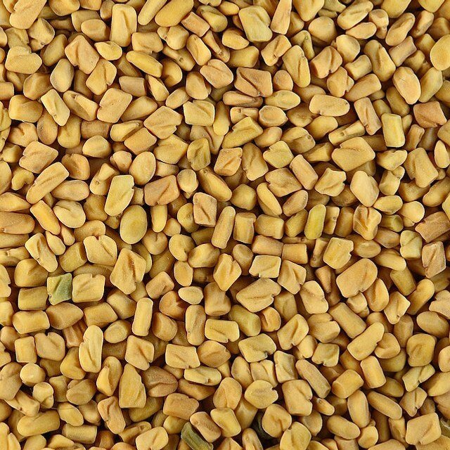 Fenugreek Seed for sowing
