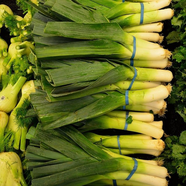 Leek Seed