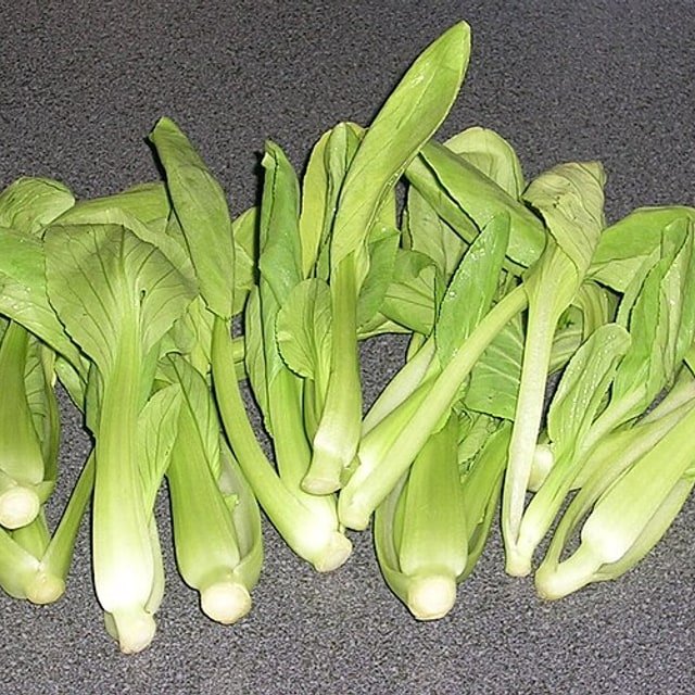 Fodder Turnip Seed