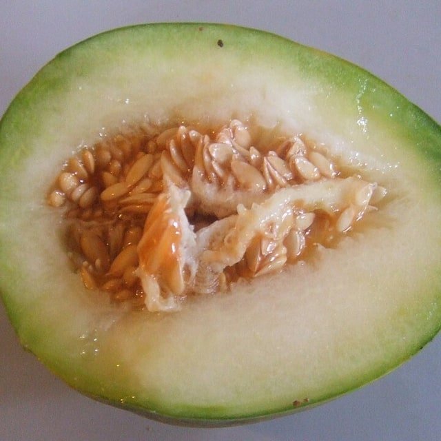 Muskmelon Seed for planting
