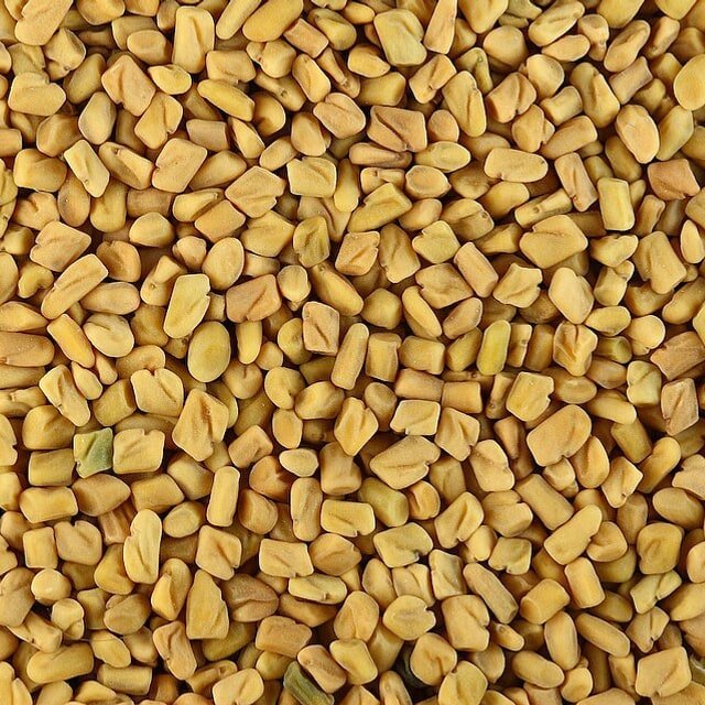Fenugreek Seed for planting