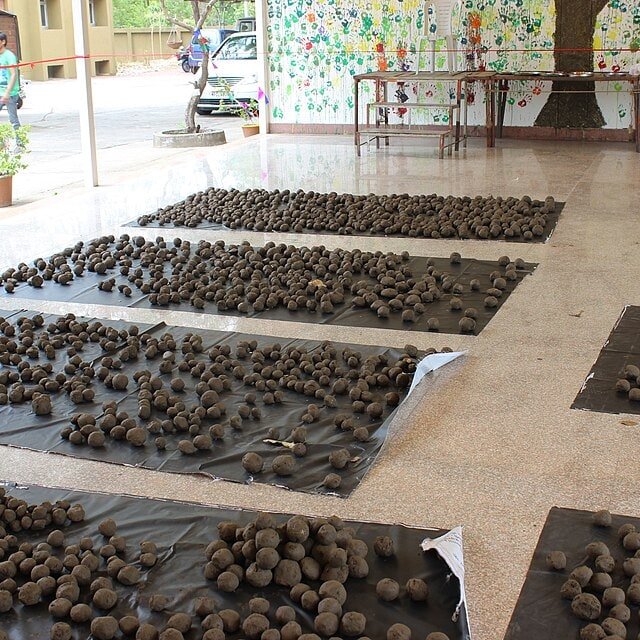 Seed Balls for planting